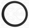 Seal Ring, oil drain plug IVECO 5801949480