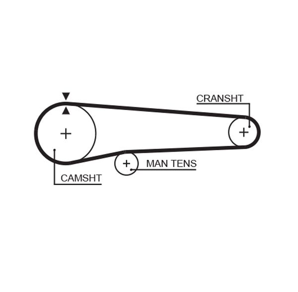 Timing Belt Subaru Leone