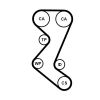 Timing Belt Kit CT1019 K1