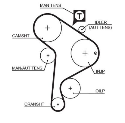 Timing Belt V.A.G. 1.9 D, TD - ( L14834 )