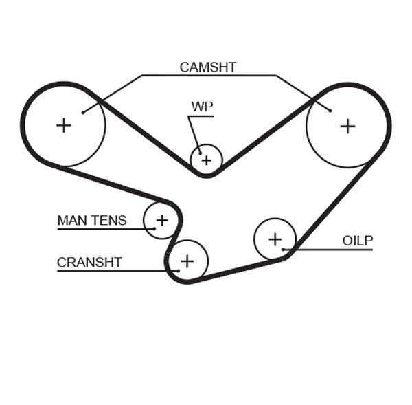 Timing Belt Porsche 928 4.6 S - ( L18634 )