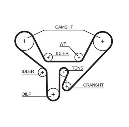 Timing Belt VAG - 077 109 119E
