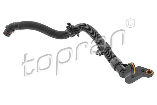 Hose, cylinder head cover ventilation VAG - 06L103213AE