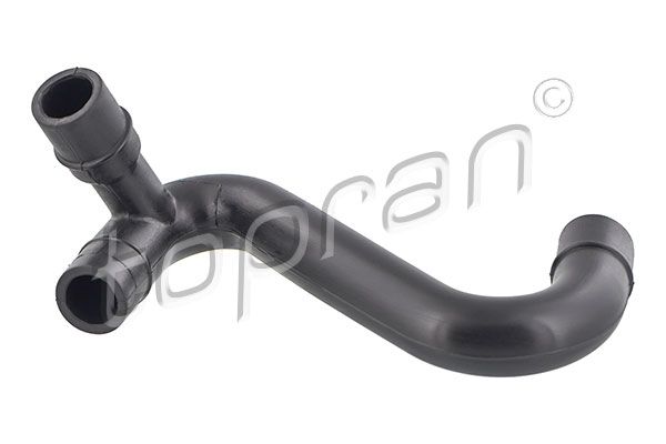 Hose, cylinder head cover ventilation VAG