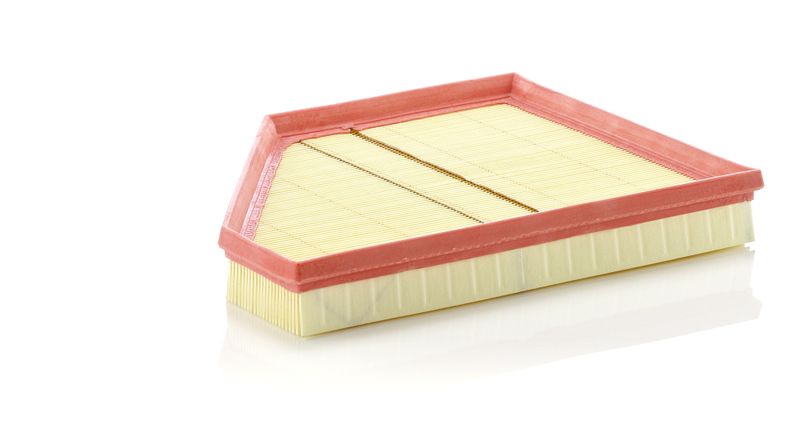 Air Filter BMW - 13 71 7 548 897