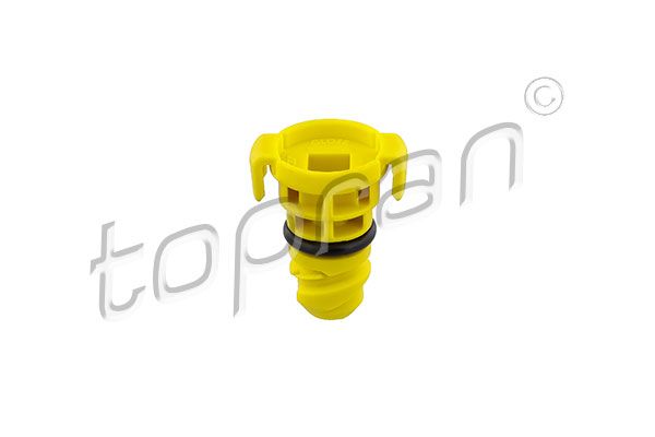 Screw Plug, oil sump FORD