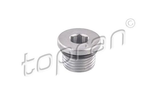 Screw Plug VAG, Porsche