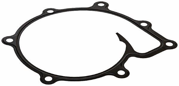 Gasket, water pump R.V.I. RENAULT VEHICLE IND.