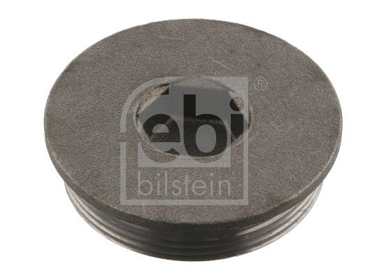 Screw Plug, crankcase Volvo Lkw 467367