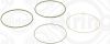 Gasket Set, cylinder liner DAIMLER NKW