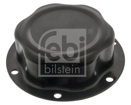 Cap, wheel bearing ROR 21202627