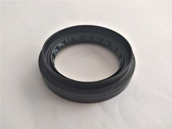 Shaft Seal, differential