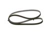 V-Ribbed Belt VAG - 044 903 137 H - 6PK1460