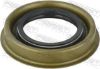 Shaft Seal, drive shaft HYUNDAI 53068-39200, KIA 53068-39200, SSANGYONG 41