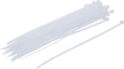 Assortment, cable ties 50-piece Cable Tie Set, 4.8 x 250 mm