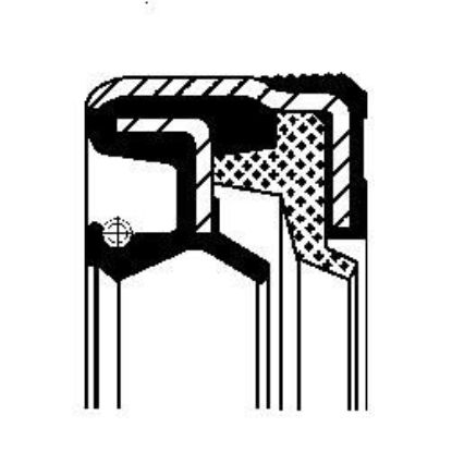 Shaft Seal, differential PSALT 5000685293