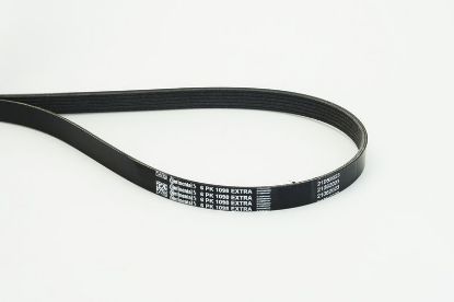 V-Ribbed Belt