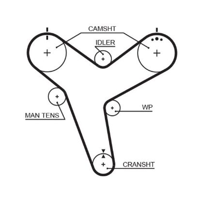 Timing Belt Toyota 4 Runner 3.0 V6 - ( L18
