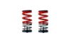 Suspension Kit, springs/shock absorbers BMW E36; EVO R; K