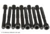 Cylinder Head Bolt Set Nissan