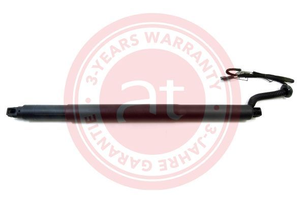 Electric Motor, tailgate BMW