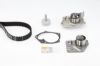 Water Pump & Timing Belt Kit PRIMERA (P12), SCÉNIC II (JM0/1_)