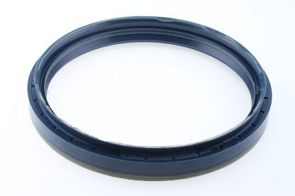 Seal Ring, spring link IVECO 41042011