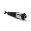 Air Suspension Strut AUDI - 4E0 616 039AB