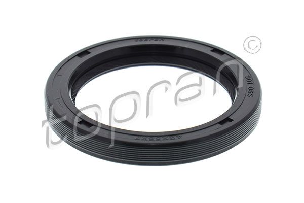 Shaft Seal, crankshaft FORD