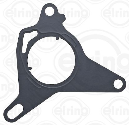Gasket, vacuum pump Fiat