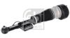 Air Suspension Strut Mercedes-Benz PKW 221 320 18 38