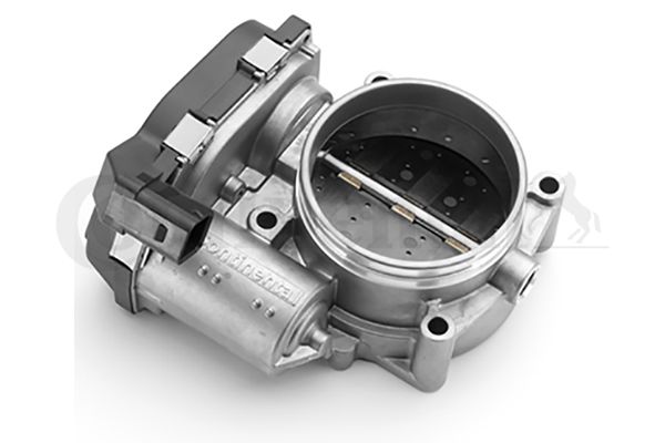 Throttle Body BMW