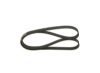 V-Ribbed Belt VAG - 028 903 137 T - 6PK1045