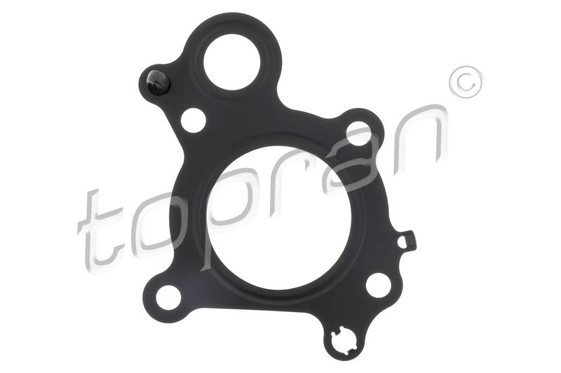 Gasket, EGR valve