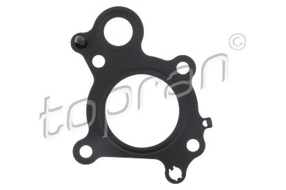 Gasket, EGR valve