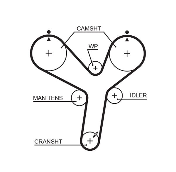 Timing Belt Mitsubishi Pajero 3.5 V6