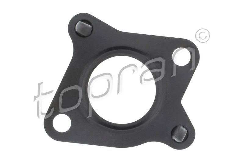 Gasket, EGR valve