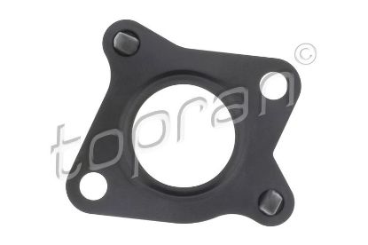Gasket, EGR valve