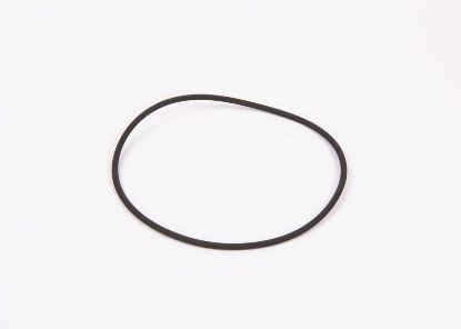 Seal Ring, injector O-ring