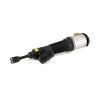 Air Suspension Strut VW Phaeton 04-06 esi vasak 3D0616039