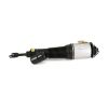 Air Suspension Strut VW Phaeton 04-06 esi vasak 3D0616039