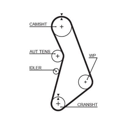 Timing Belt VAG - 06B 109 119A