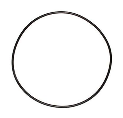 Sealing ring, wheel hub (planetary gearbox) DAIMLER NKW