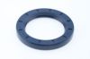 Shaft Seal, power take-off CASE 786529R91