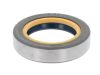 Shaft Seal, differential CASE 196164C1
