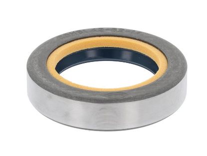 Shaft Seal, differential CASE 196164C1