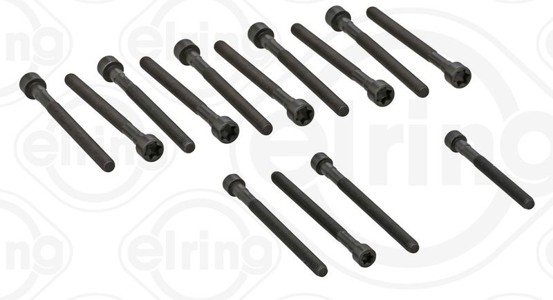 Cylinder Head Bolt Set BMW - 11 12 7 548 799