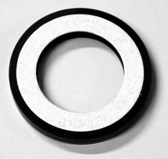 Shaft Seal, differential