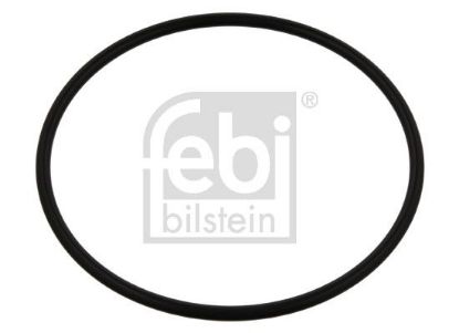 Seal Ring, wheel hub M A N 6569303611