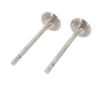 Exhaust Valve RENAU 7700865934